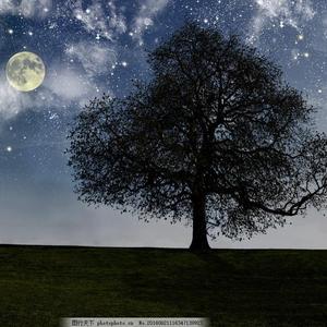 儿媳妇把家公认成丈夫动态图片
